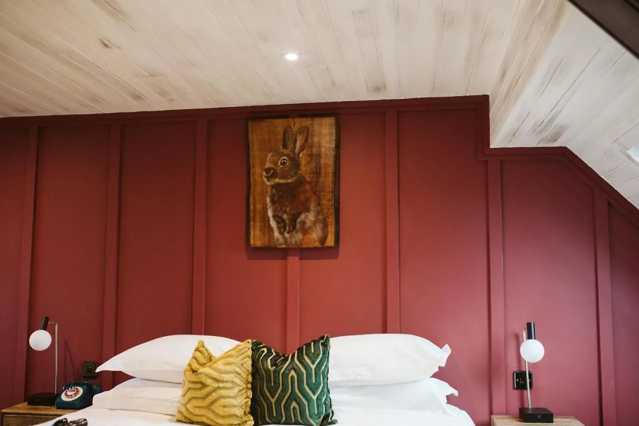 The Rabbit Hotel & Retreat Templepatrick